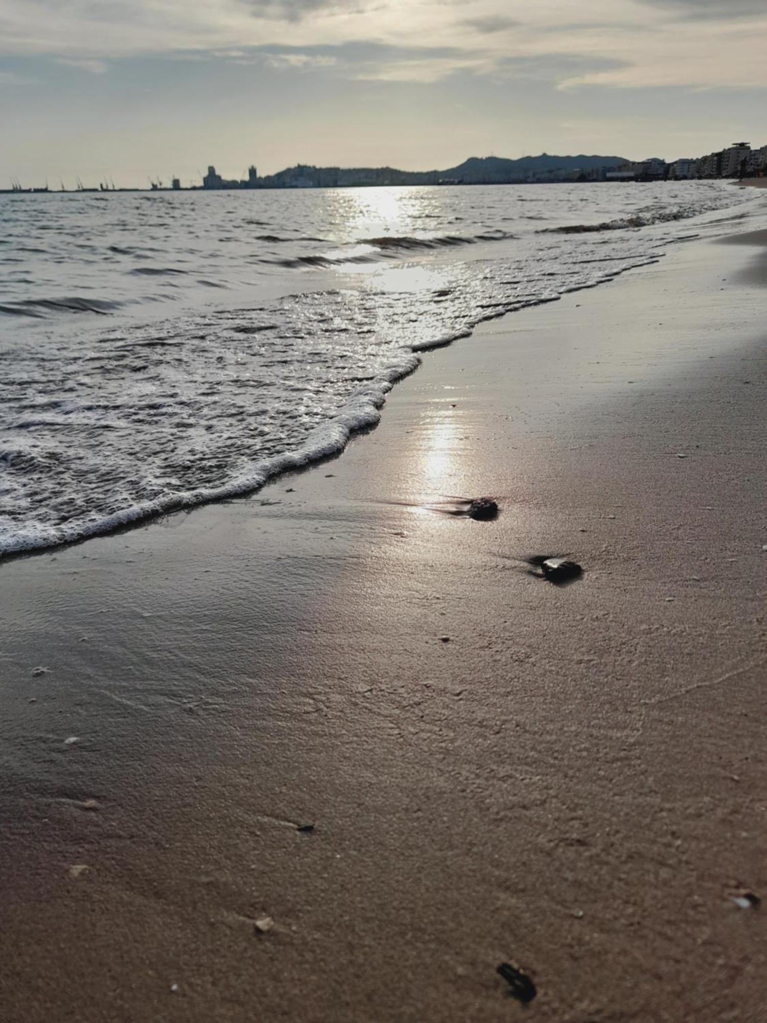 Seaside Deluxe Apartment Durrës Esterno foto